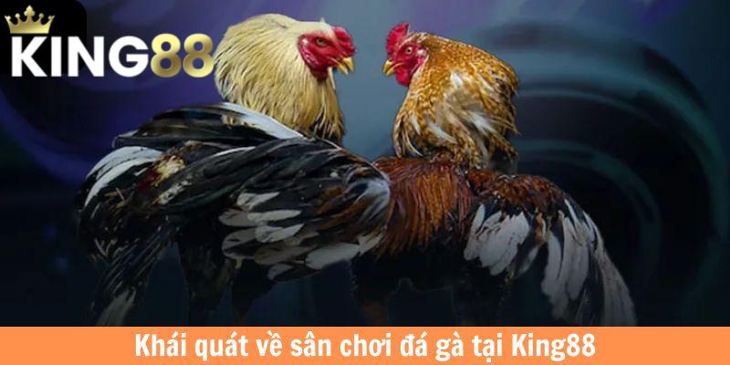 Khái quát về sân chơi đá gà tại King88