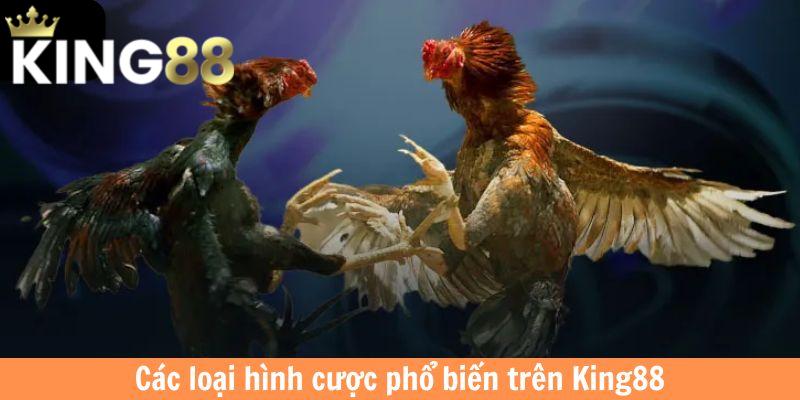 Các loại hình cược phổ biến 